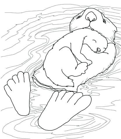 416x480 Otter Coloring Page Sea Otter And Cute Baby With Sleep Activity