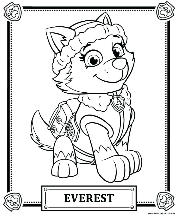 736x896 Skye Paw Patrol Coloring Pages Paw Patrol Coloring Pages As Well