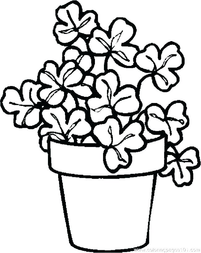 650x818 Plants Coloring Pages The Sun And Plants Of Nature Coloring Page