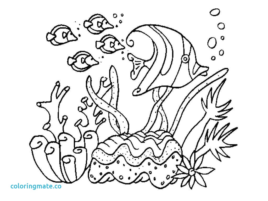 1024x768 Sea Plants Coloring Pages Fresh Pimg Of Coloriafes Disney
