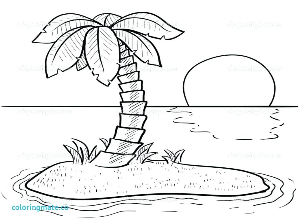 1024x768 Coloring Pages Beach Coloring Pages Sea Plants Beautiful Island