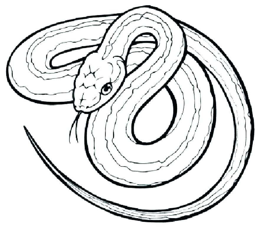 878x769 Snake Coloring Page Anaconda Snake Coloring Pages