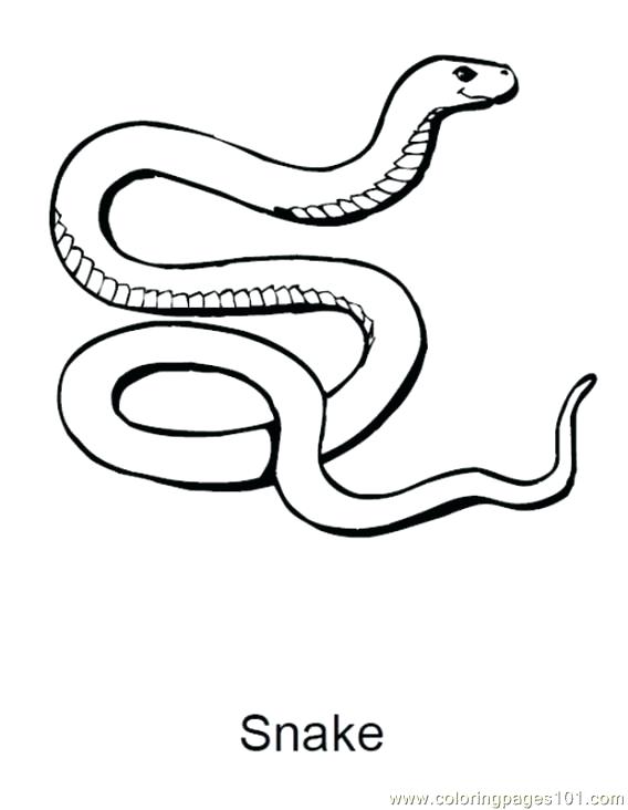 568x732 Snake Coloring Pages This Is Rattlesnake Coloring Page Pictures