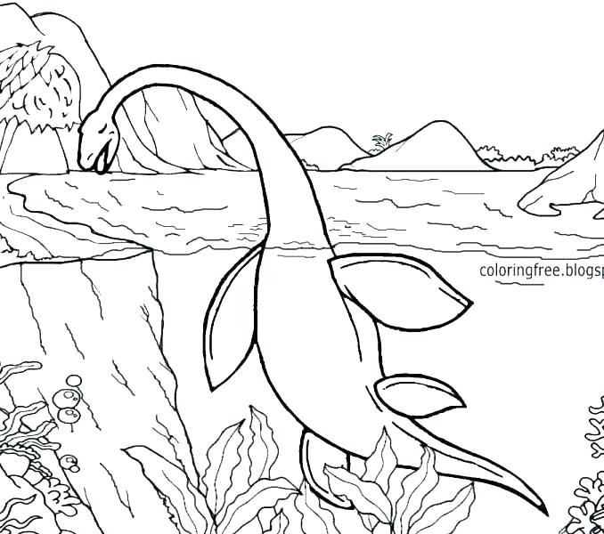 678x600 Sea Monster Coloring Pages Calledas Club