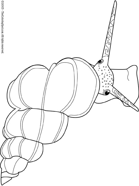 540x720 Sea Snail Sea Animals Snail, Adult Coloring