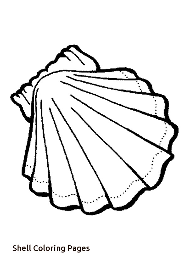 600x849 Sea Snail Coloring Page Funny Shell Coloring Page Sea Shell