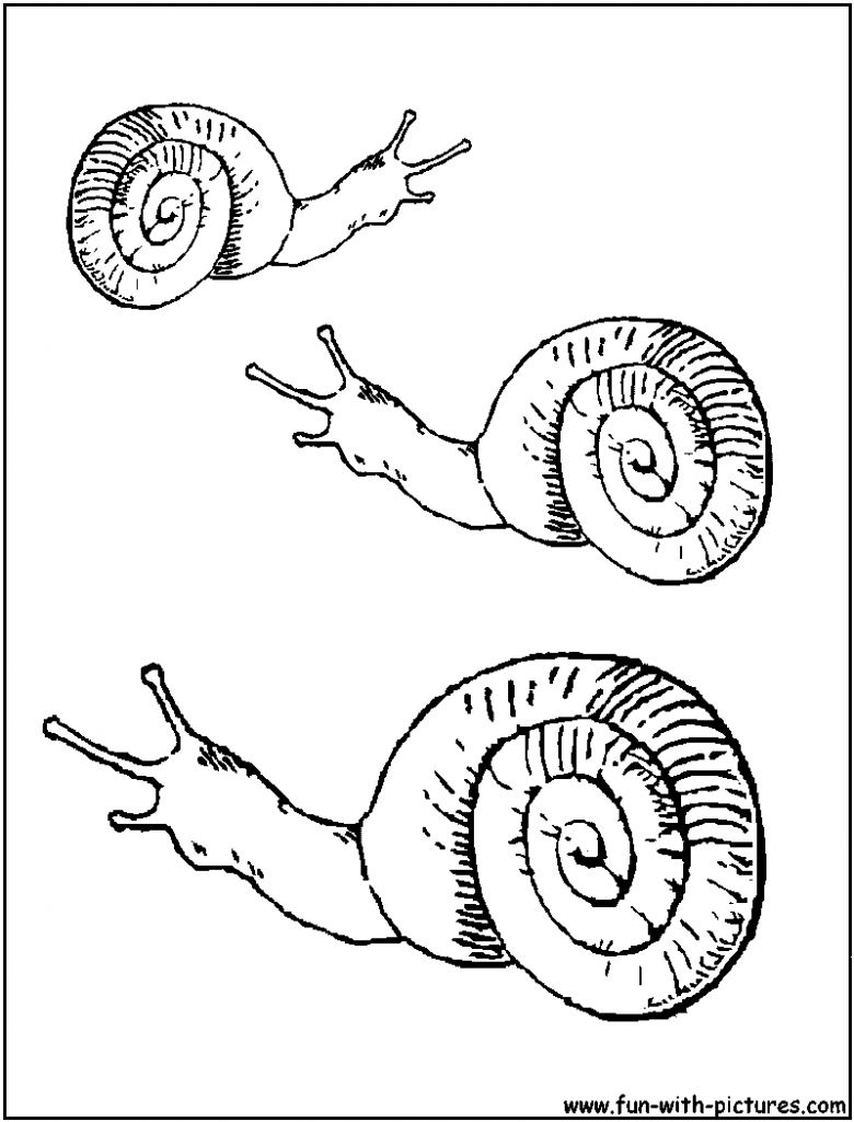 780x1024 Sea Snail Coloring Pages