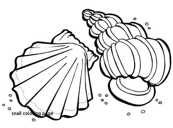 600x442 Snail Coloring Page Snail Coloring Page Sea Animals Coloring Pages