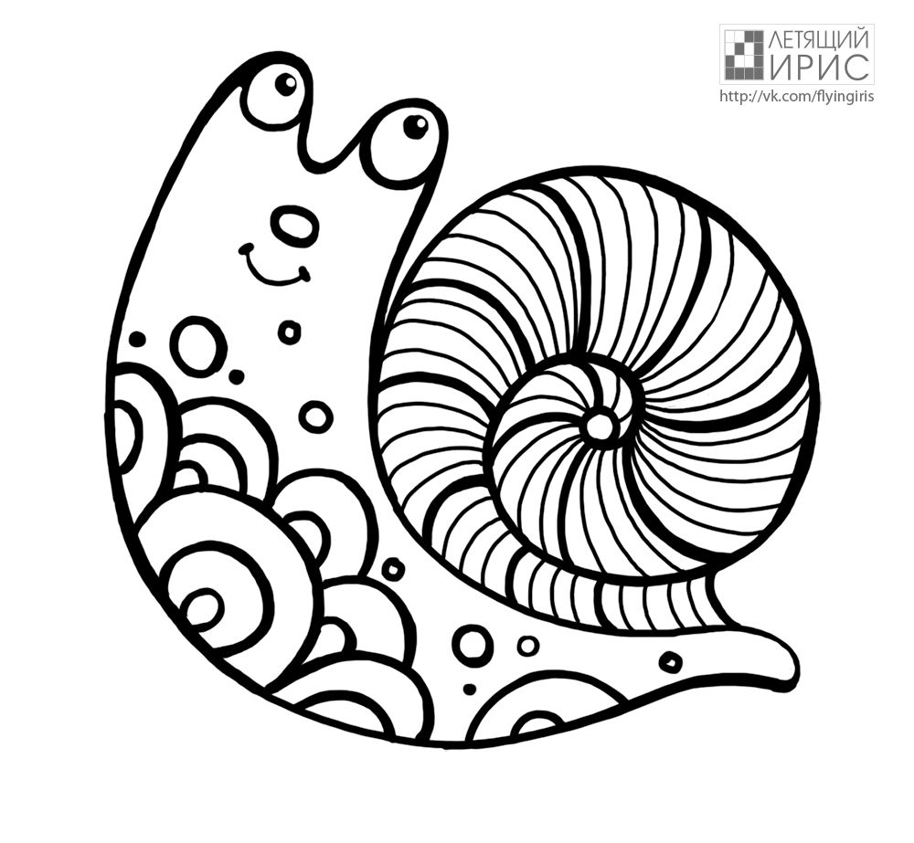 1000x923 Snail