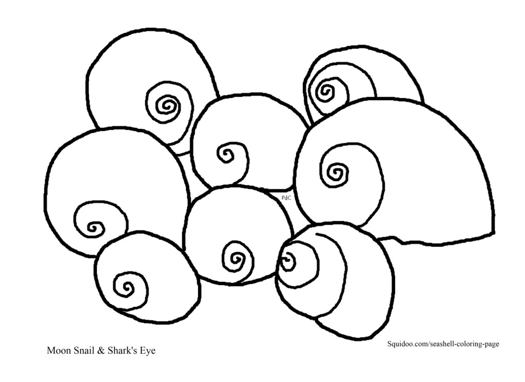 1023x744 Sea Shells Coloring Page Printable