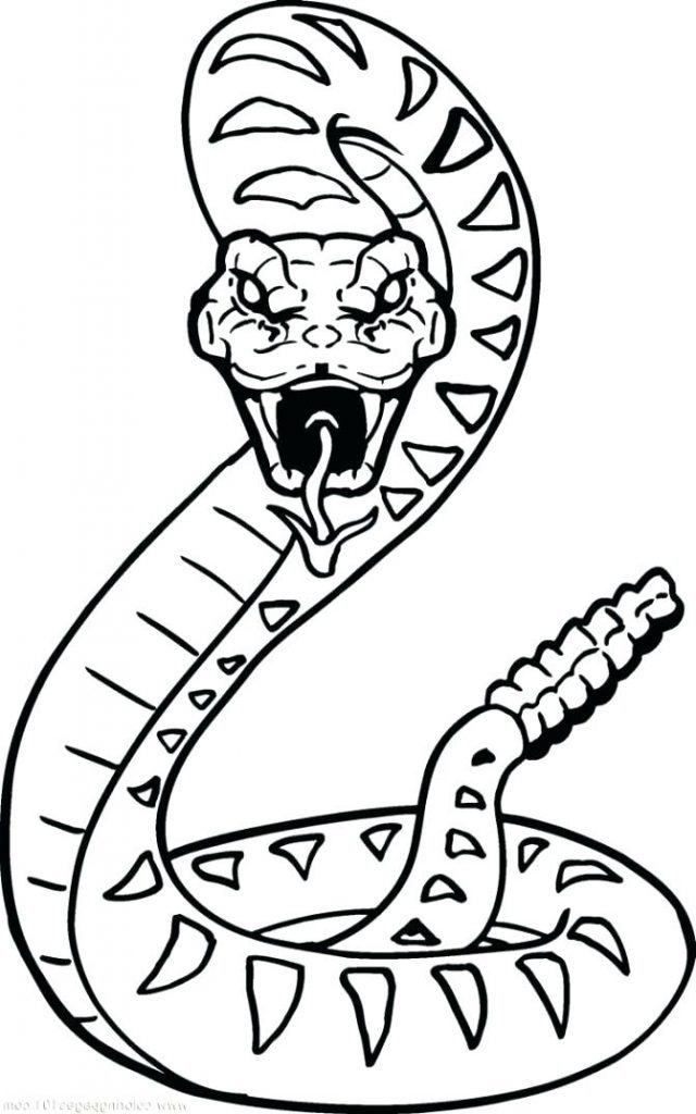 640x1024 Sea Snake Coloring Page