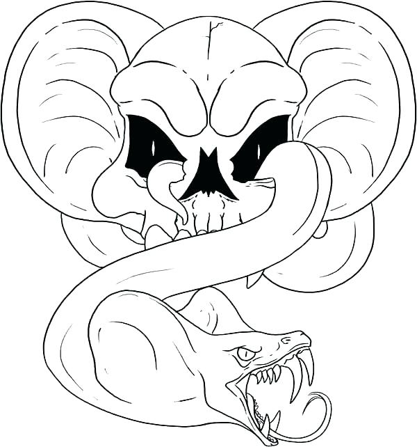 600x642 Snake Color Page Snake Color Page Winding Snake Skull Coloring