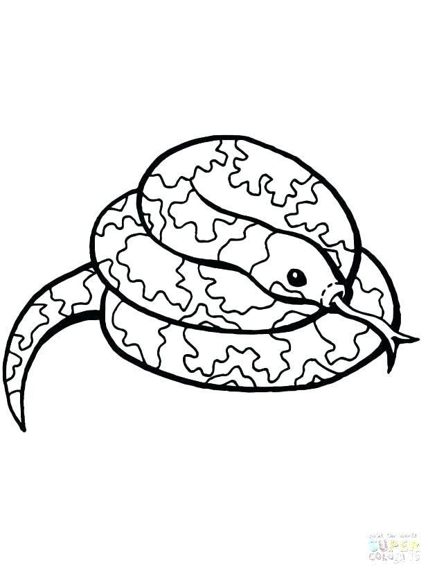 Sea Snake Coloring Page at GetDrawings.com | Free for ...