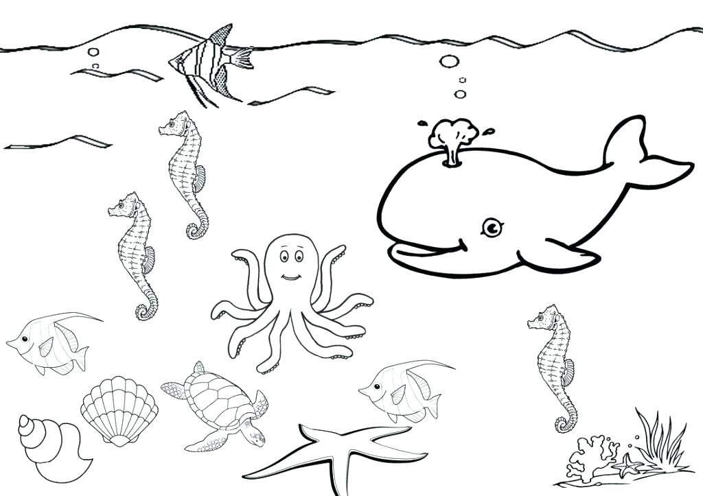 1024x723 Sea Coloring Page Odvediteme Sea Coloring Page Under The Sea