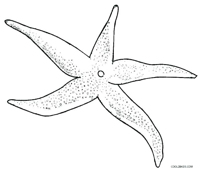 650x558 Sea Star Coloring Page Star Fish Coloring Page Star Fish Coloring