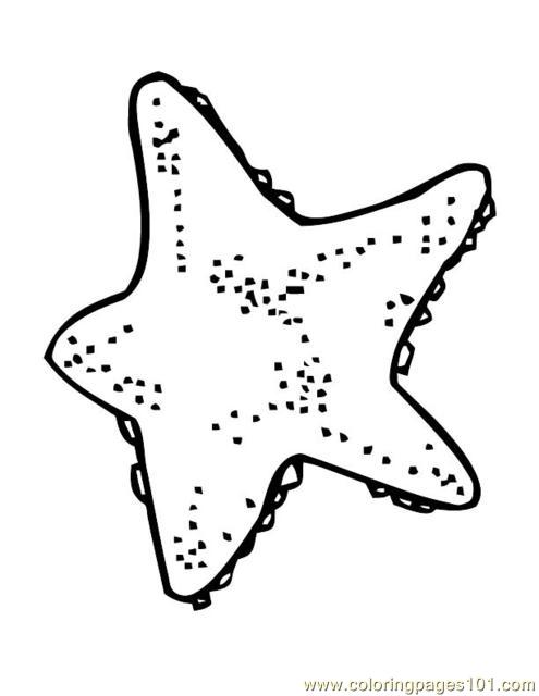 495x640 Animal Sea Star Fish Coloring Page