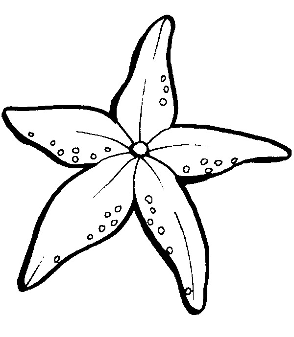 600x689 Starfish Coloring Pages
