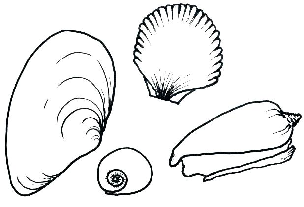 618x421 Starfish Coloring Pages