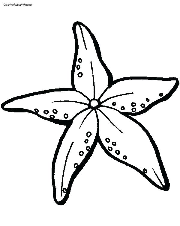 600x756 Coloring Page Of A Star Sea Star Coloring Page Star Fish Coloring