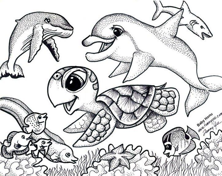 724x576 Sea Turtle Coloring Pages Printable Sea Turtle Coloring Pages Sea