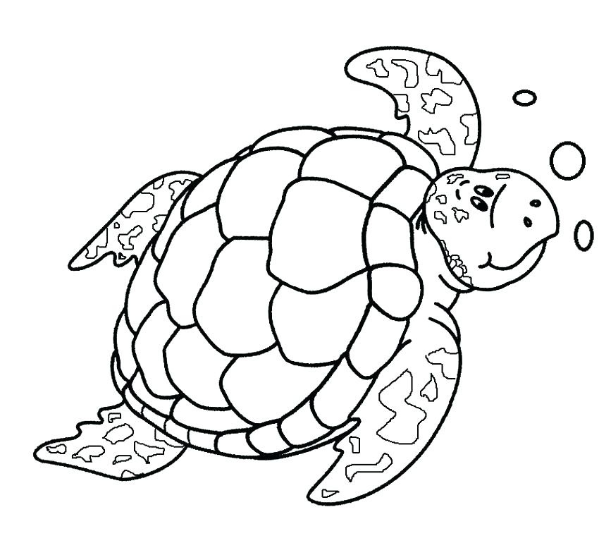 Sea Turtle Coloring Page at GetDrawings | Free download