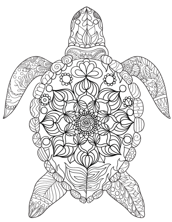 600x776 Free Printable Sea Turtle Adult Coloring Page Download It In Pdf