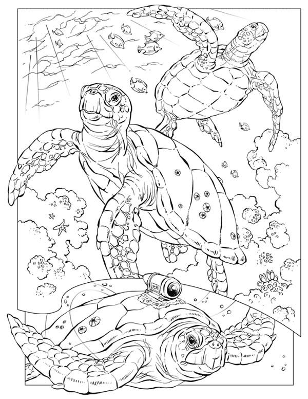 600x776 Sea Turtle, Sea Turtle Documentary Coloring Page Coloring