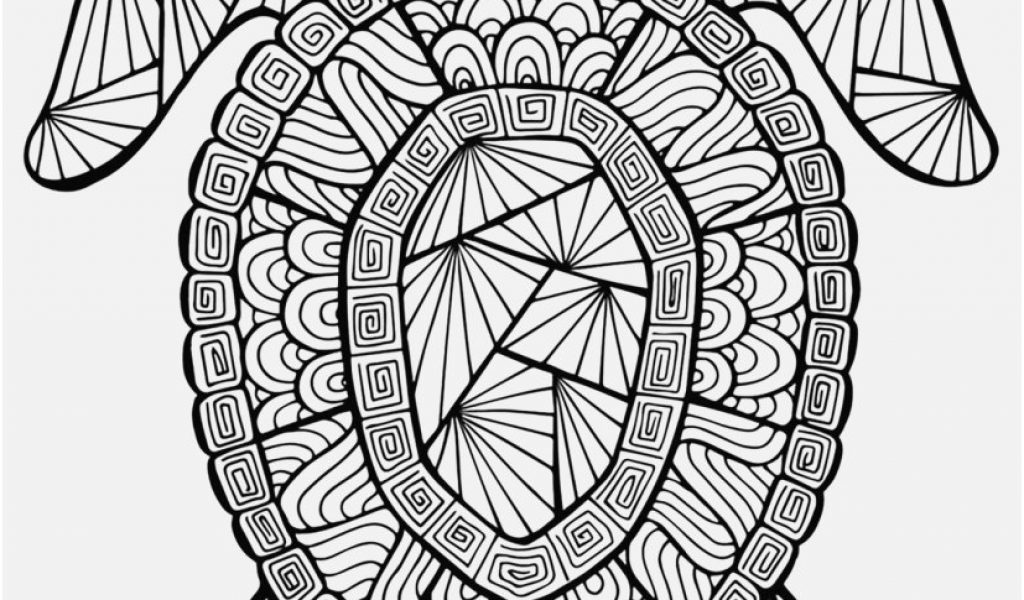 1024x600 Sea Turtle Coloring Page Photo Incredible Turtle Turtles Coloring