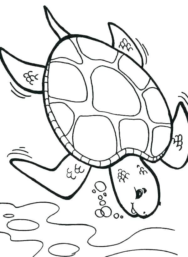 600x818 Sea Turtle Coloring Pages For Adults Of Baby Turtles Green Page