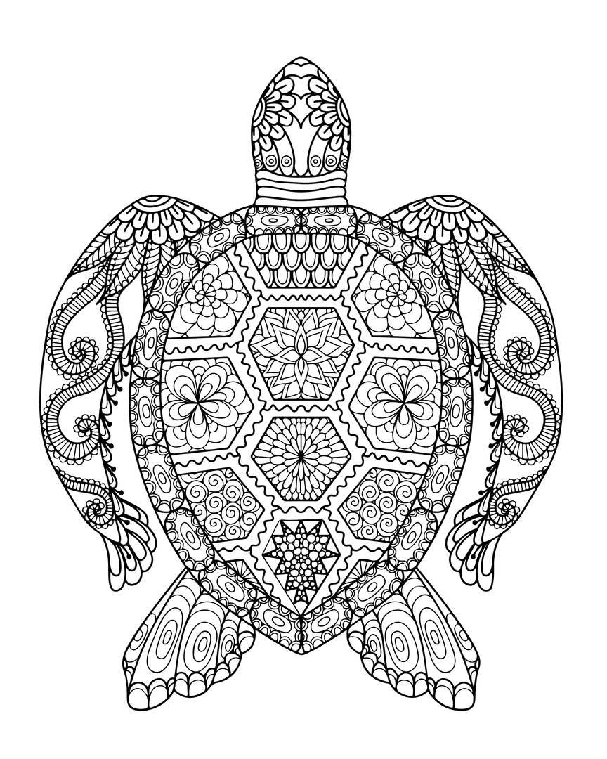 864x1080 Unique Author Promotion And Turtle Coloring Pages For Adults