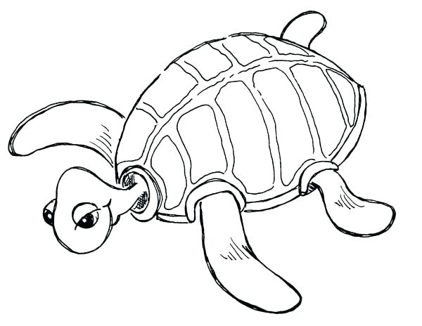 600x464 Free Printable Turtle Coloring Pages Printable Turtle Coloring