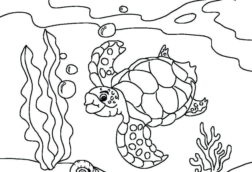 1024x701 Turtle Coloring Page Sea Turtles Coloring Pages Ninja Turtle