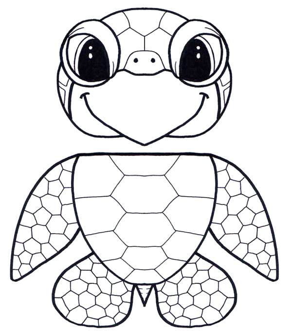 600x680 Astonishing Surprising Turtles Coloring Pages Print Baby Sea
