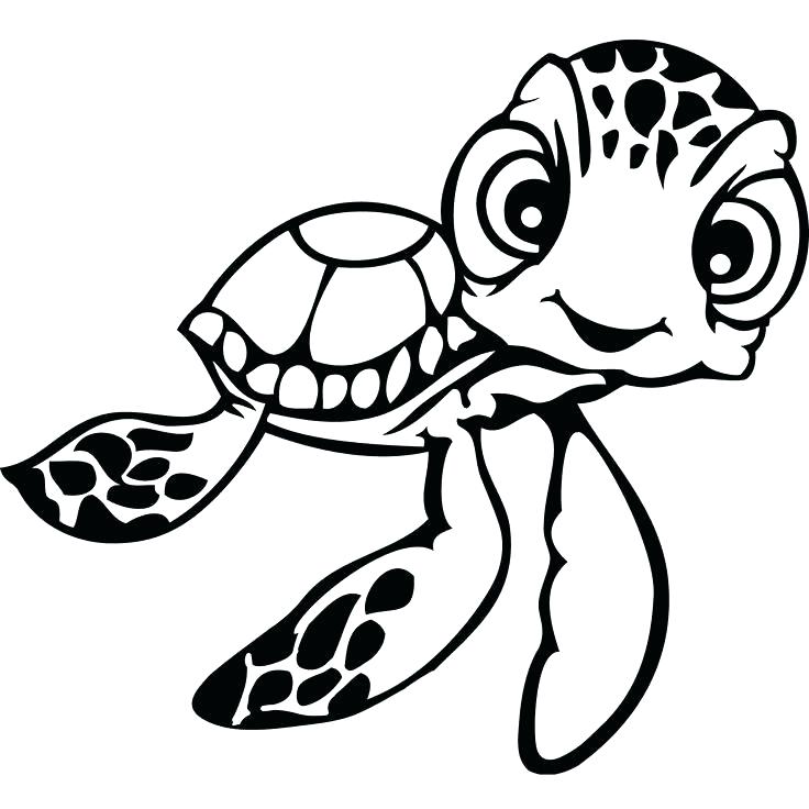 736x736 Sea Turtle Coloring Pages