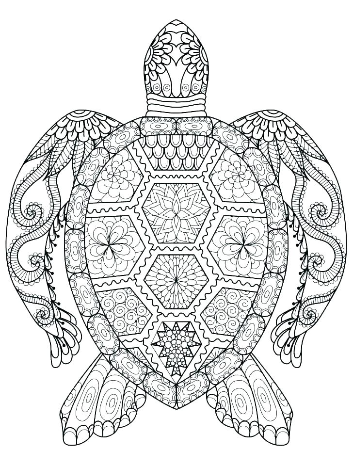 728x961 Sea Turtle Printable Coloring Pages Vanda