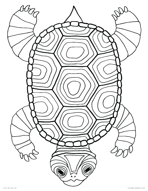 618x800 Coloring Pages Of Sea Turtles Coloring Pages Turtle Pond Coloring