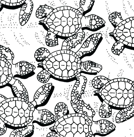 570x582 Ninja Turtle Coloring Pages Cartoon Turtle Coloring Pages Turtle