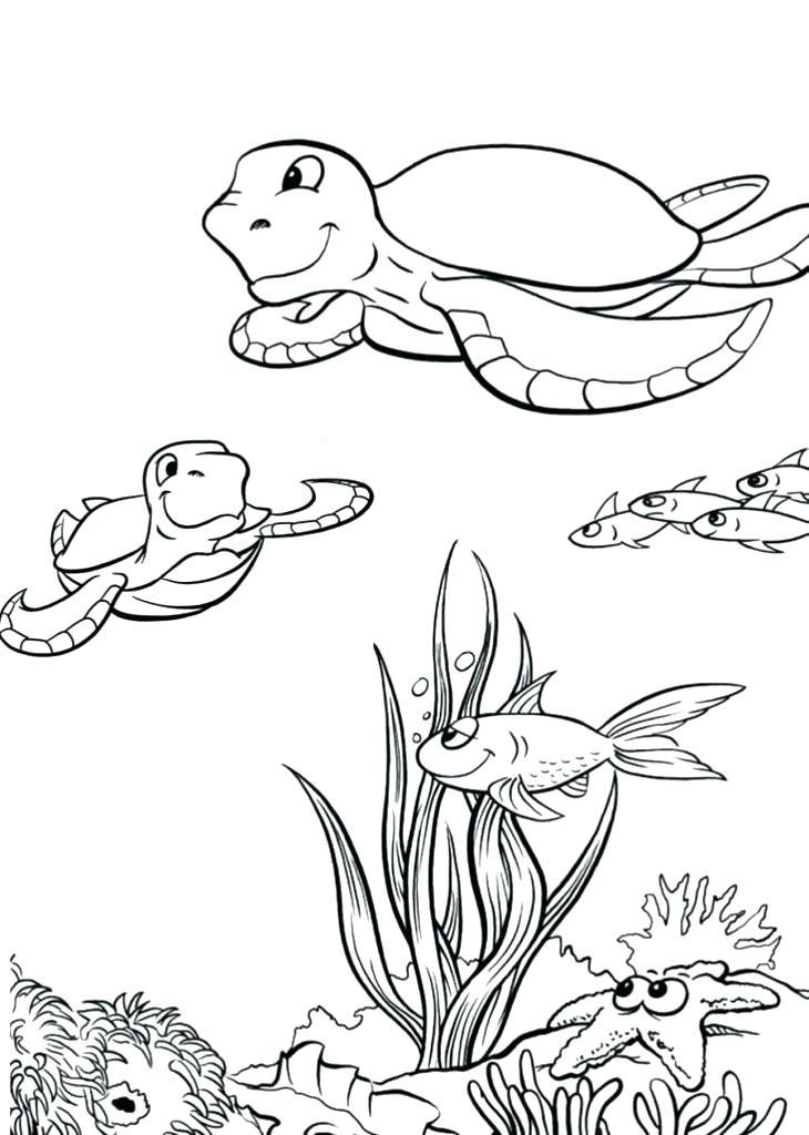 730x1024 Ocean Habitat Coloring Pages Printable Sea Animals