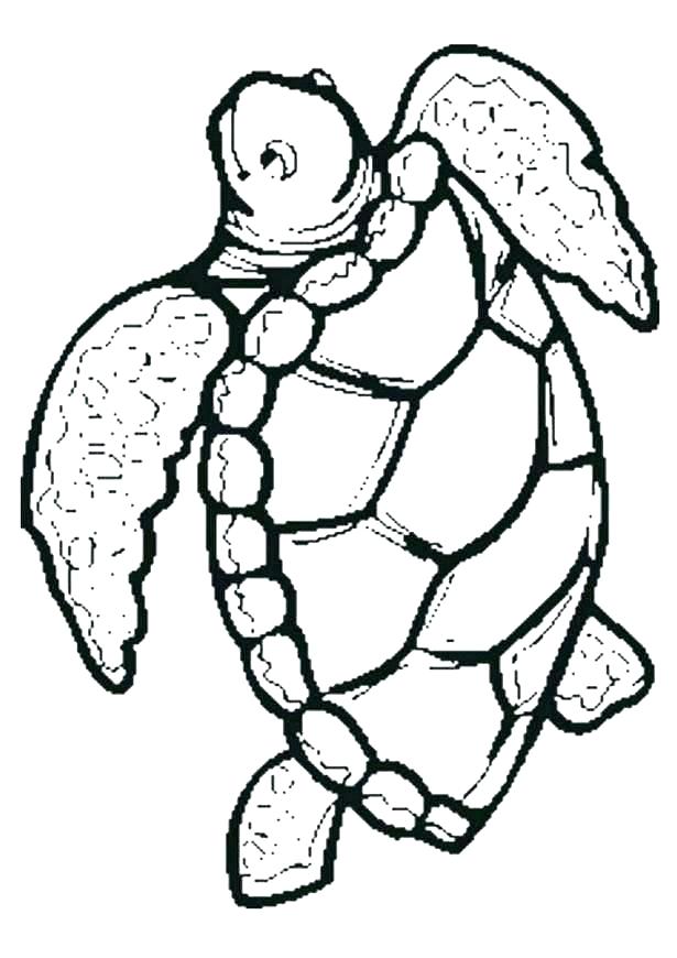615x870 Sea Turtle Pictures To Color Turtle Coloring Pages Sea Turtle