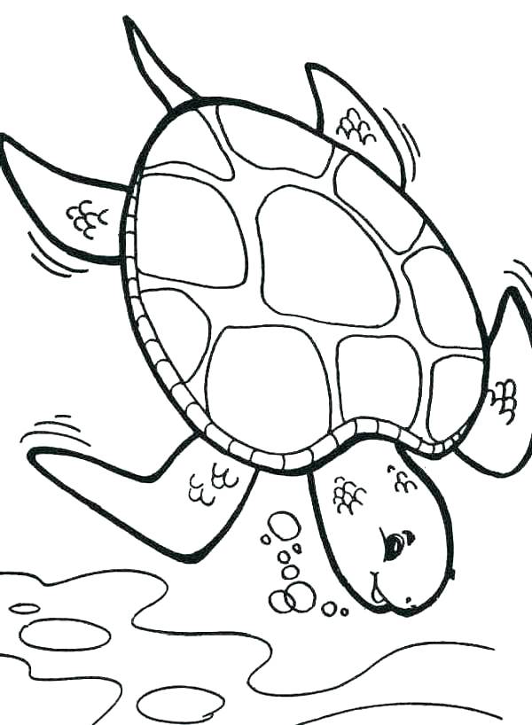 600x818 Coloring Pages Of Sea Turtles Sea Turtle Coloring Page Colouring