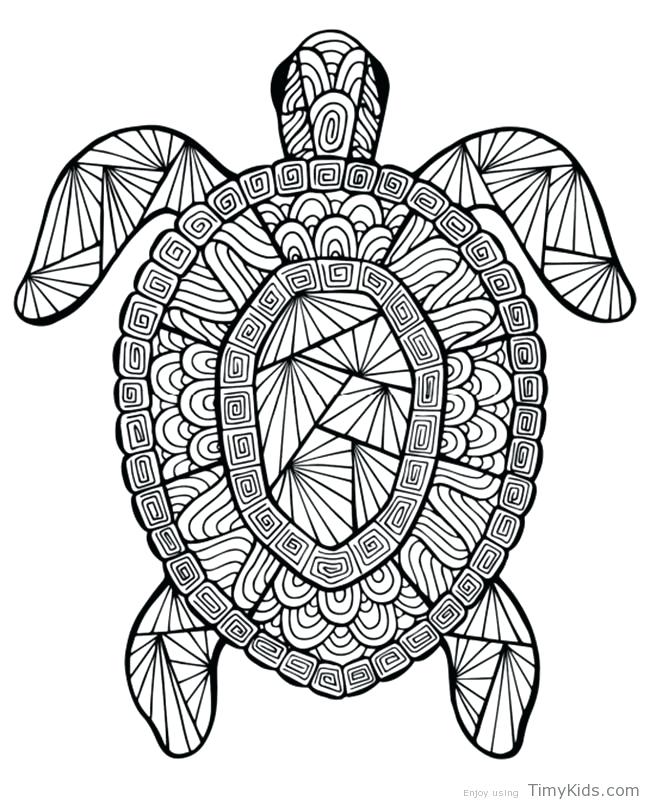 650x805 Coloring Pages Turtle Turtle Printable Coloring Pages Coloring
