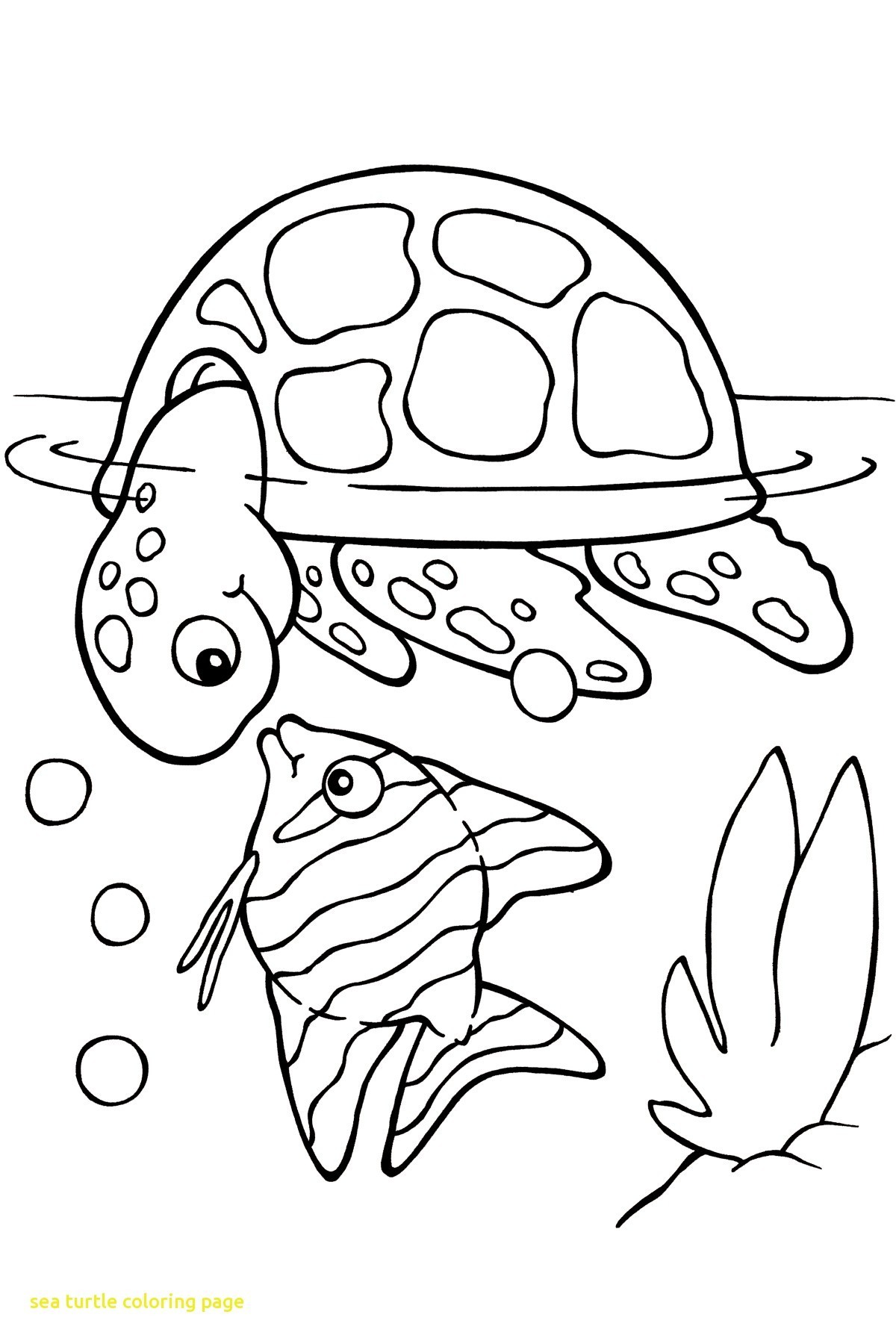 1200x1800 Fresh Ninja Turtle Printables Coloring Pages Taylab Design
