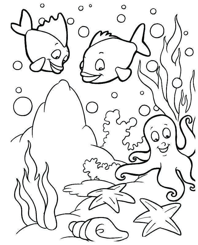 645x798 Sea Urchin Coloring Page Sea Otter Coloring Pages Otter Coloring