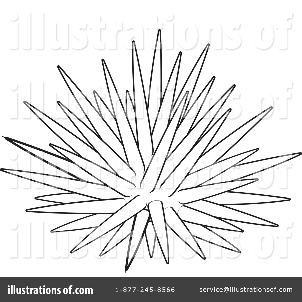 1024x1024 Sea Urchin Coloring Pages Color Bros