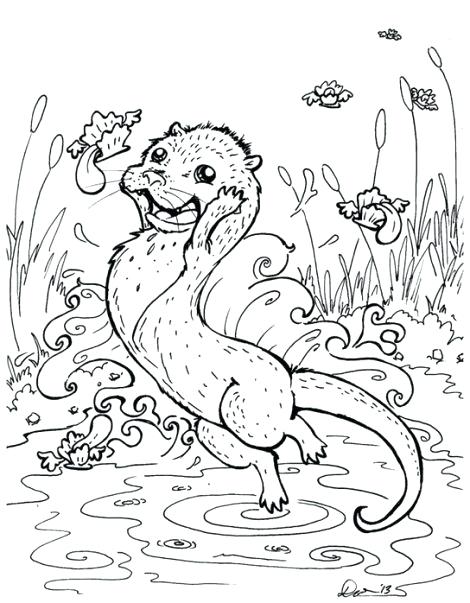 470x603 The Best Otter Animal Coloring Pages Image Collections Sea Otter