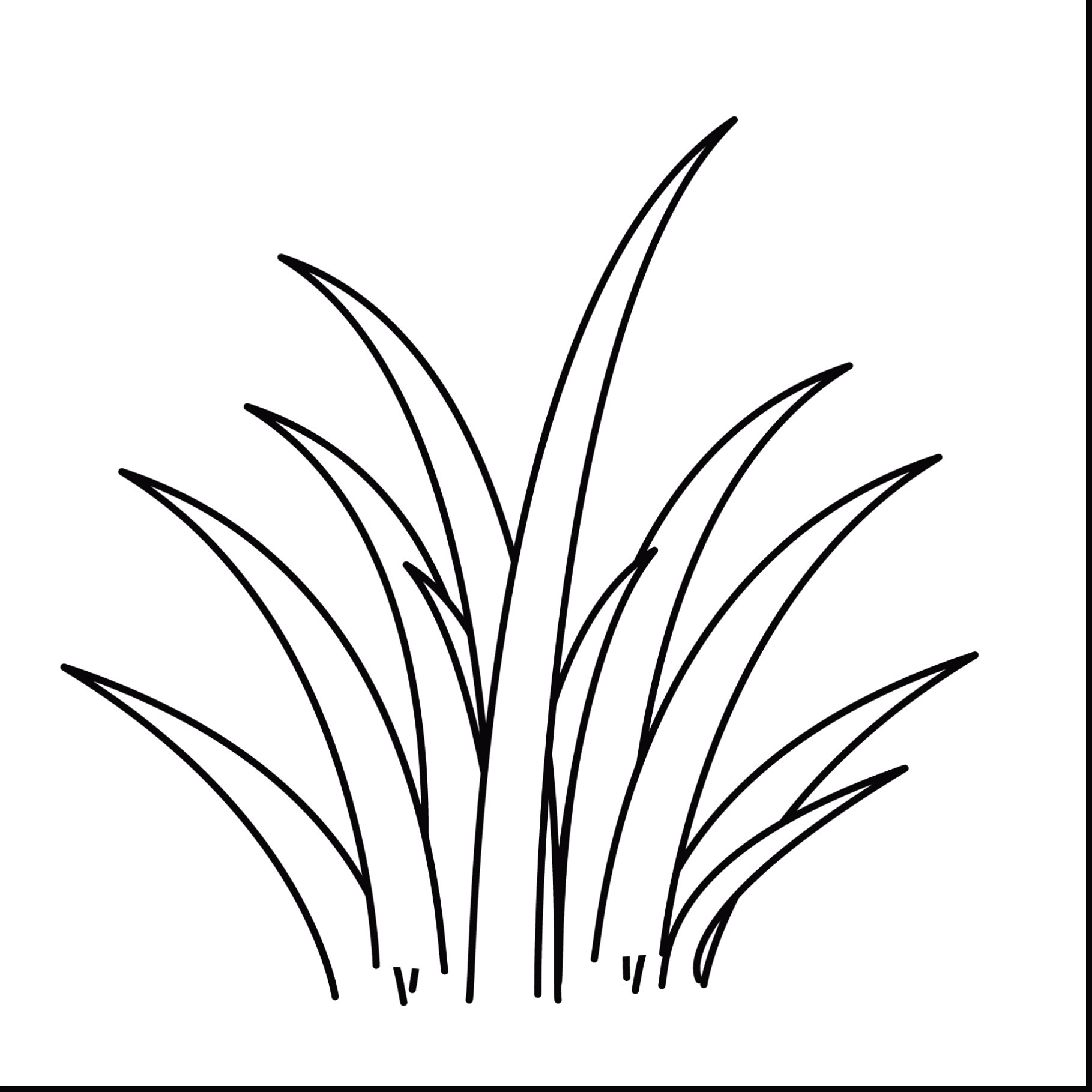 1819x1819 Unique Sea Urchin Coloring Page Crest