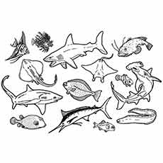 Sea World Coloring Pages