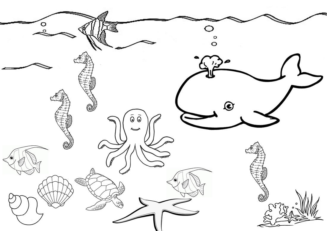 1100x777 Sea World Coloring Pages Gallery