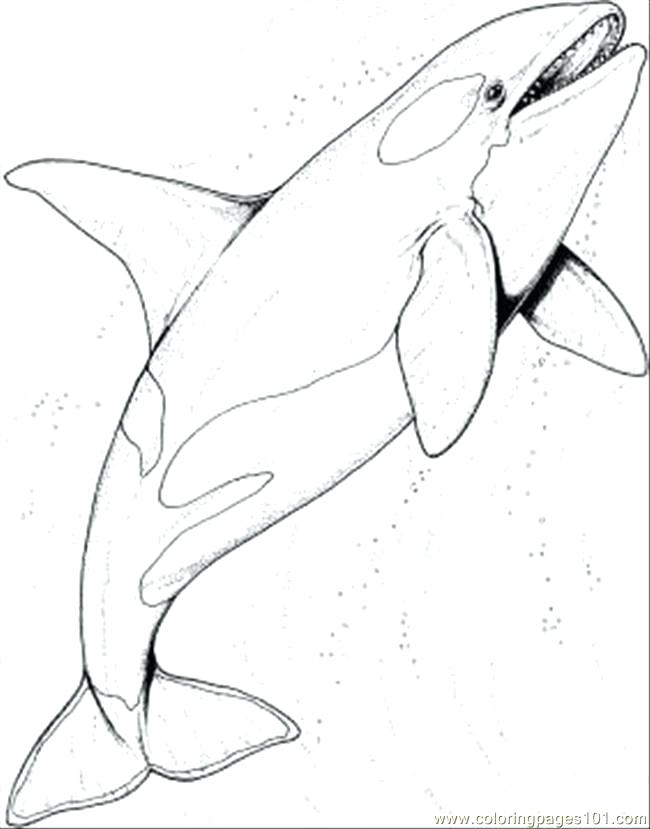 650x829 Sea World Coloring Pages The Ocean Coloring Page Coloring Page Sea