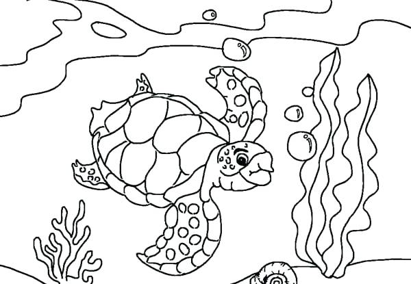 600x415 Sea World Coloring Pages World Coloring Page Amazing World Map
